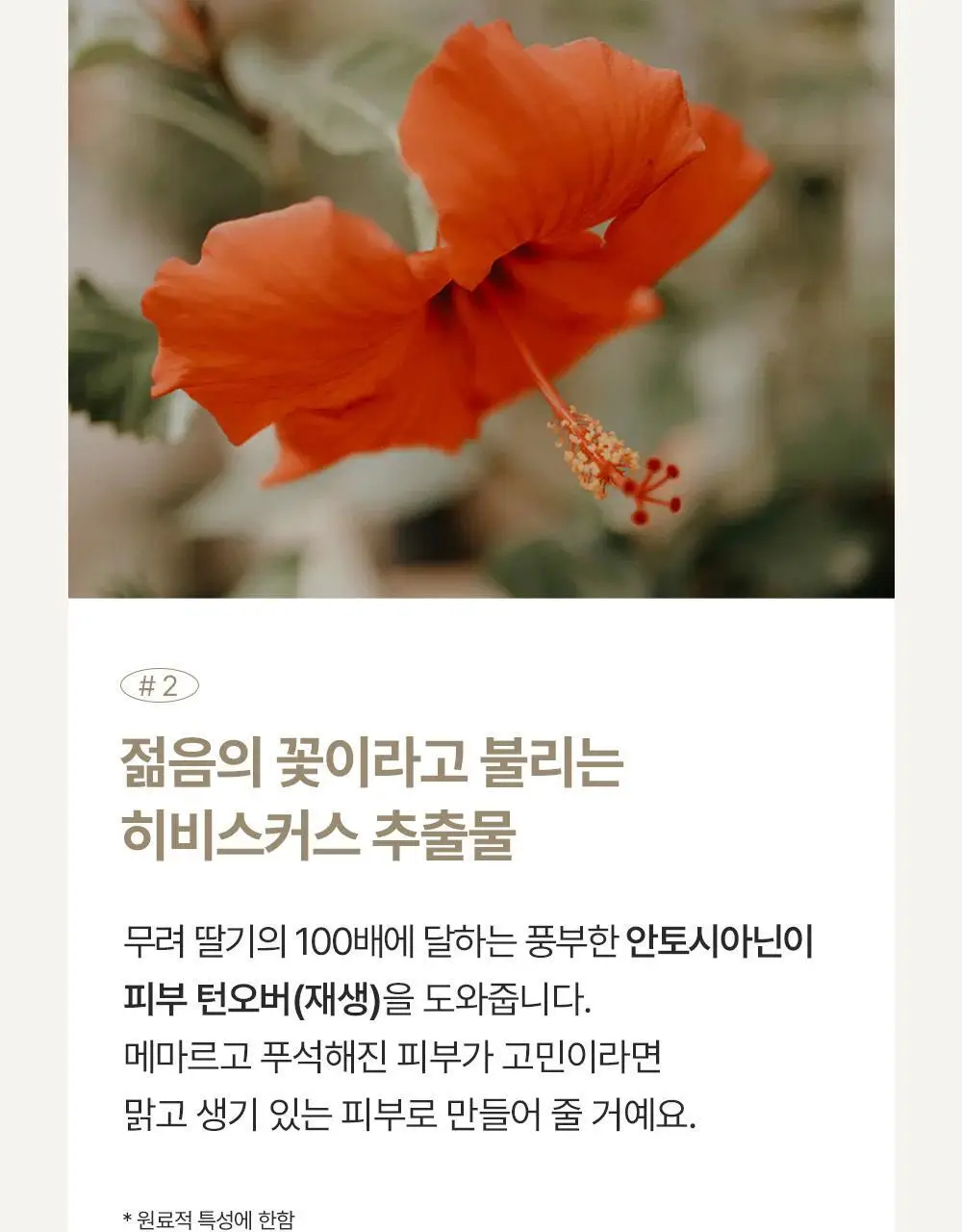 에필로우 시트 마스크 5매 [결가드닝/속건조 다도/진정 마음챙김] 3종 중 택1 상세페이지 24